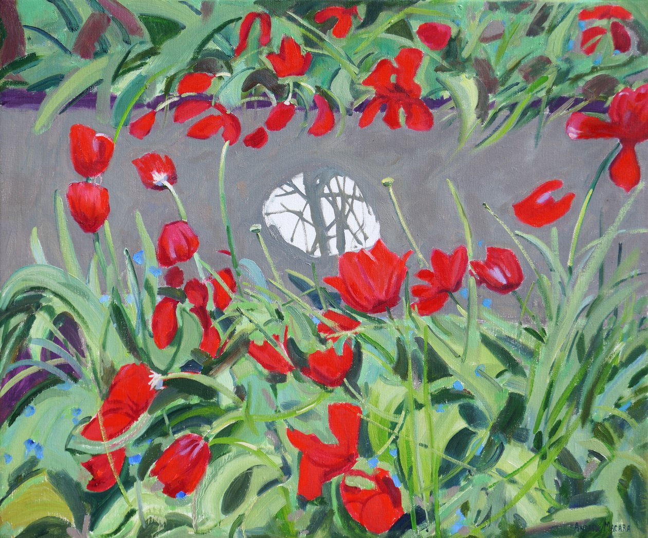 Tulppaanit ja heijastus, 2017, tekijältä Andrew Macara