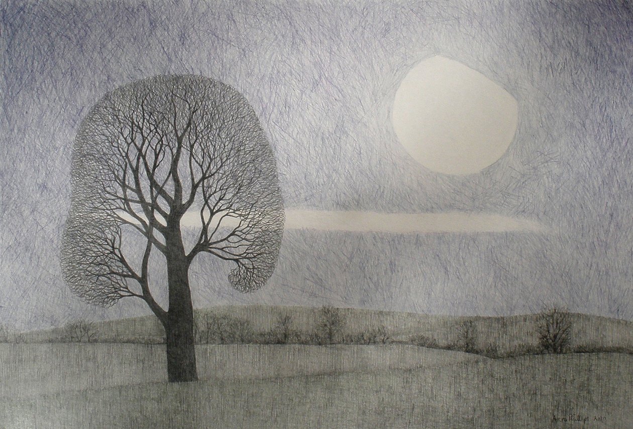 Helmikuun kuu, 2010 (värikynä paperille) tekijältä Anna Phillips