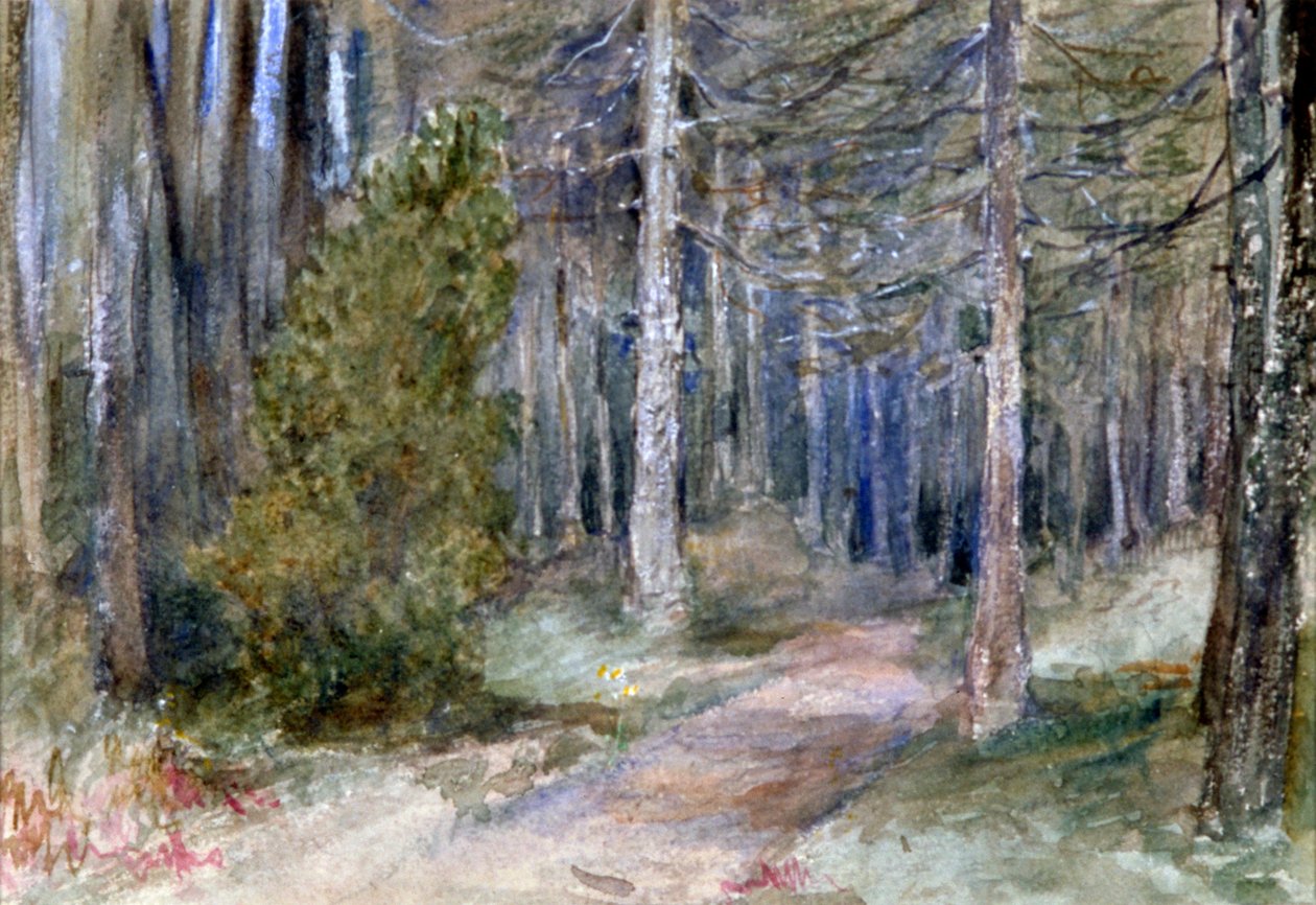 "In a Wood", 1864-1930. tekijältä Anna Lea Merritt