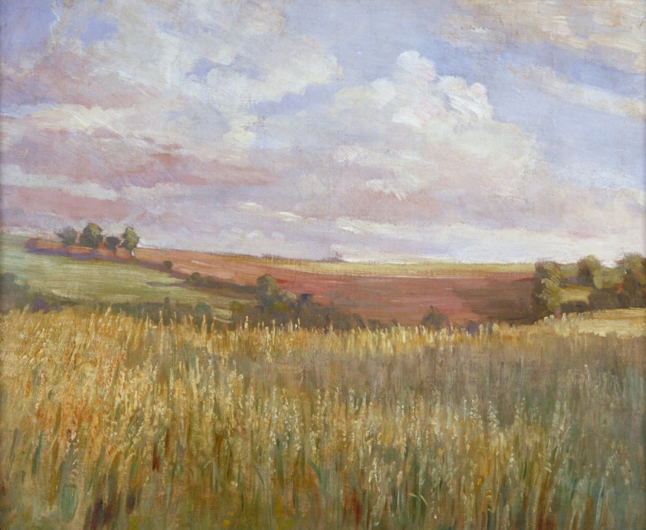 "The Cornfield", 1864-1930. tekijältä Anna Lea Merritt