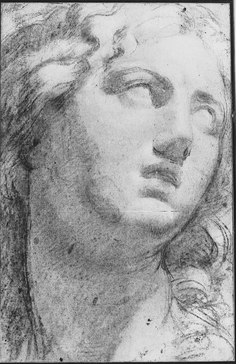 Niobe tekijältä Annibale Carracci