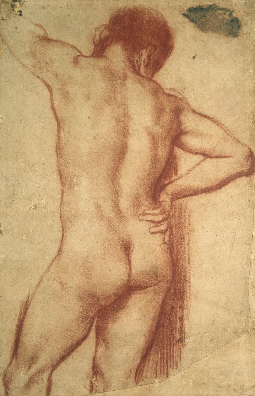Tutkimus alastomasta miehestä tekijältä Annibale Carracci