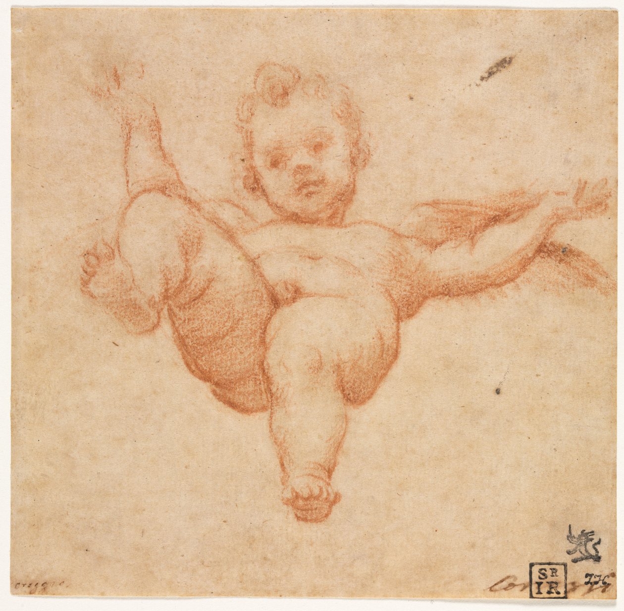Lentävä Cupido, c. 1602. tekijältä Annibale Carracci