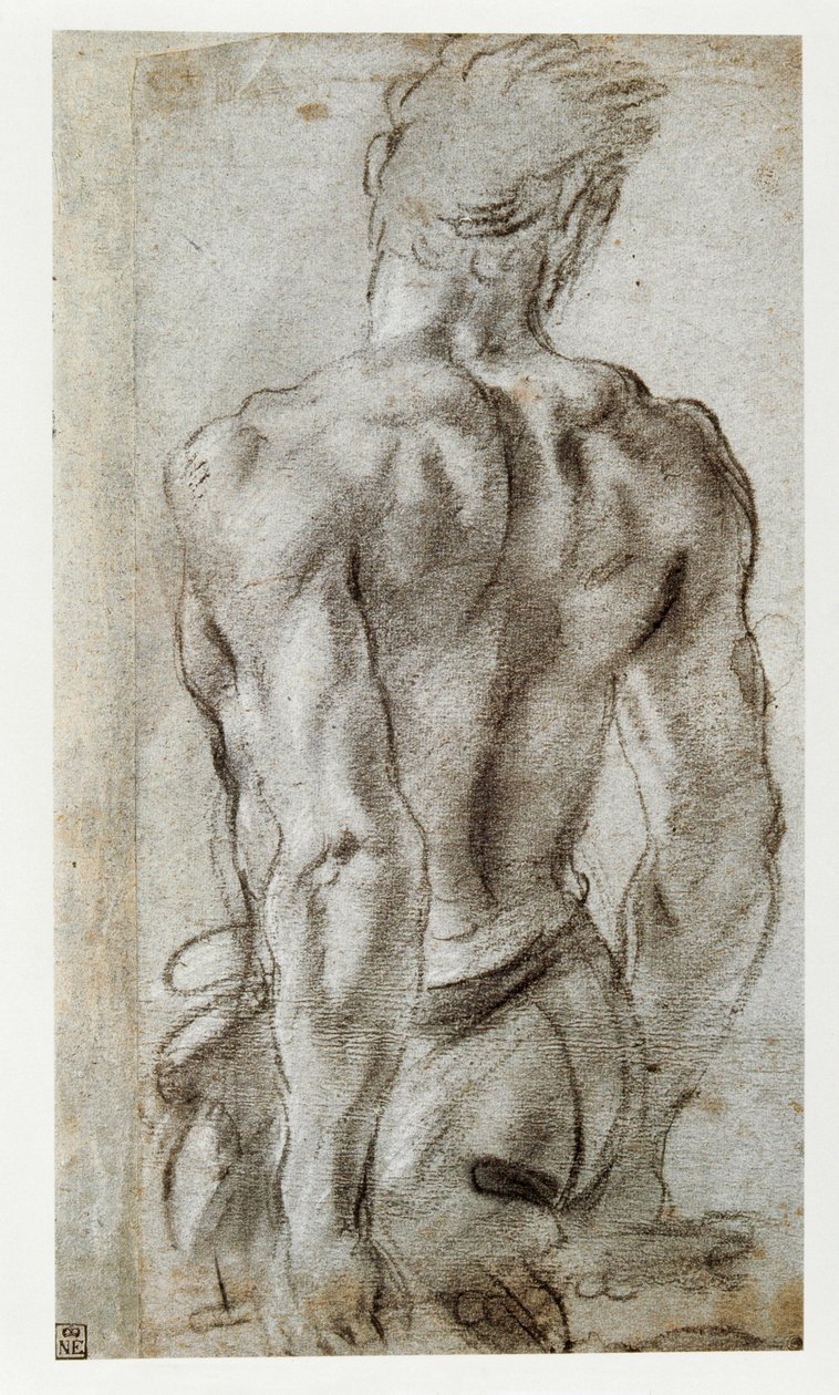 Tutkimus mieshahmosta ... tekijältä Annibale Carracci