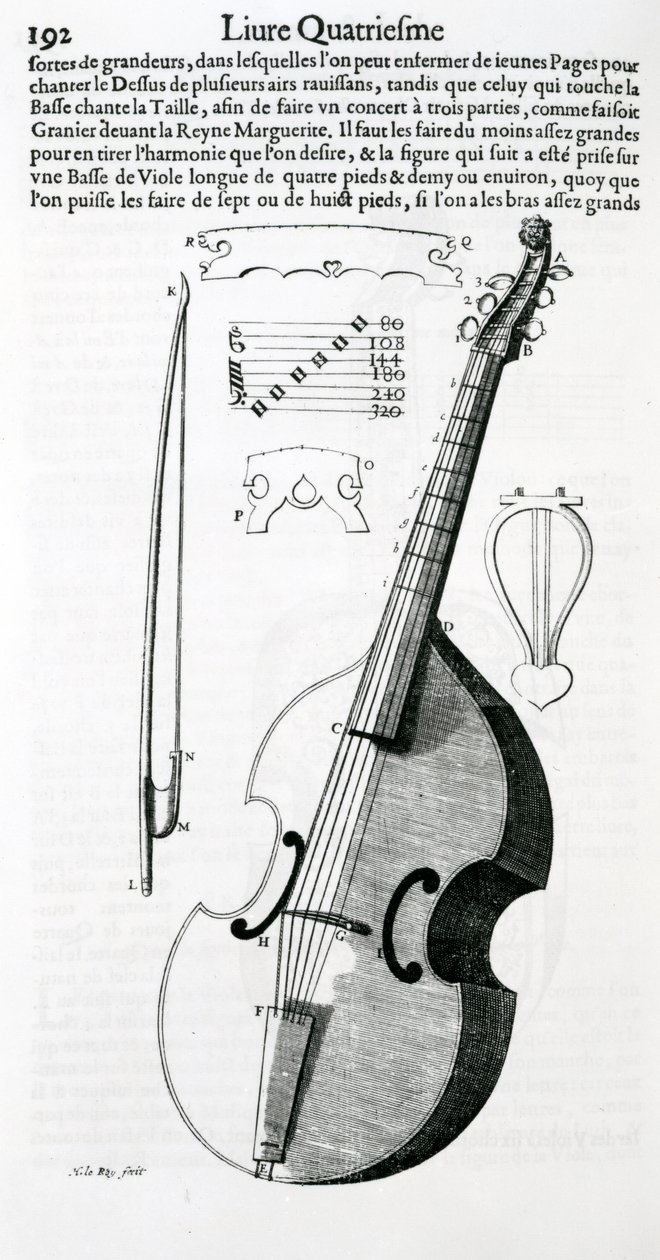 Viola, 1636 tekijältä Unbekannt Unbekannt
