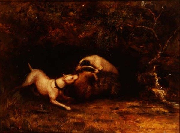 Mäyrää syöstävät koirat, n. 1870 tekijältä Anonymous