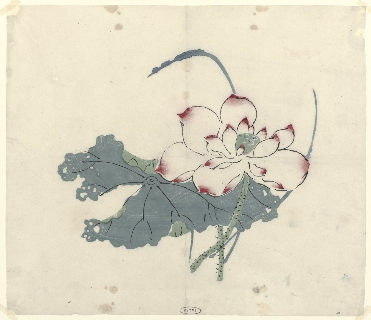 Lotus tekijältä Anonymous