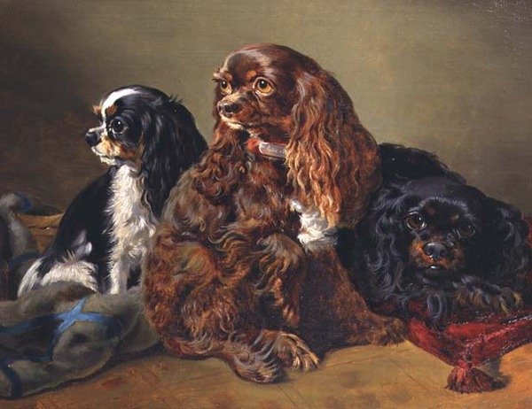 King Charles Spanielit tekijältä Anonymous Anonymous