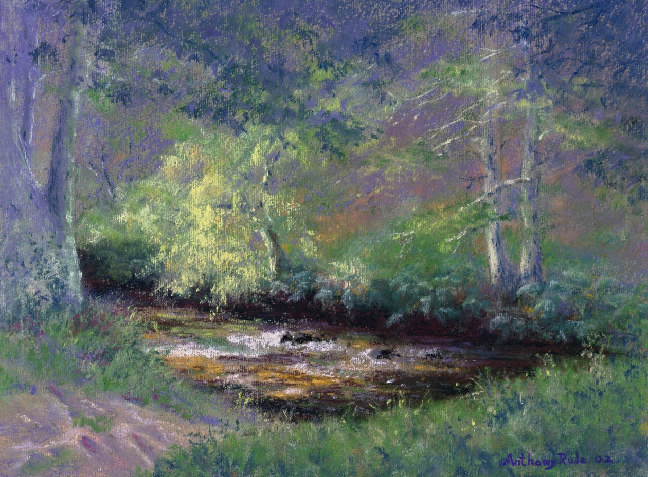 Forest Stream, 2002 tekijältä Anthony Rule