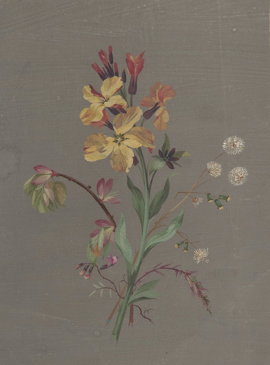Kukkasuunnittelu, n. 1820. tekijältä Antoine Berjon
