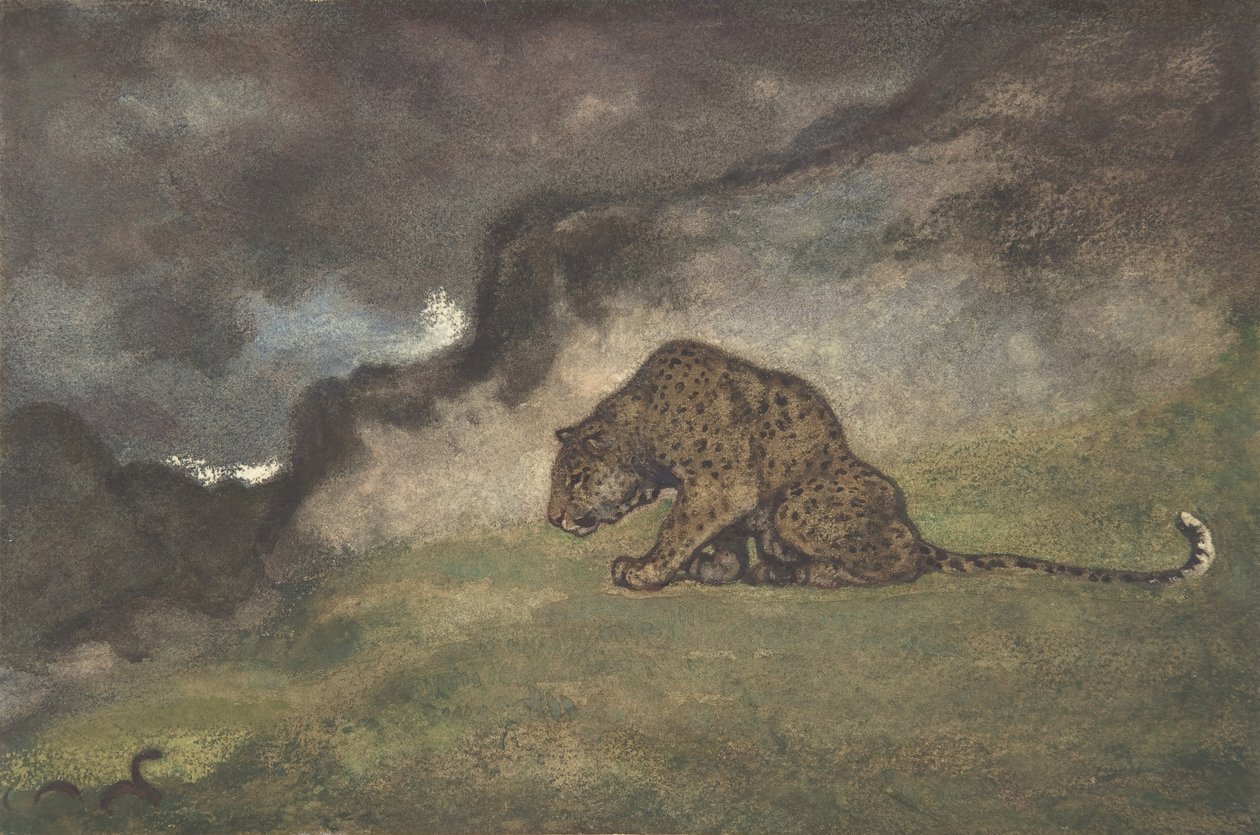 Leopardia katsova käärme, 1810-75. tekijältä Antoine Louis Barye