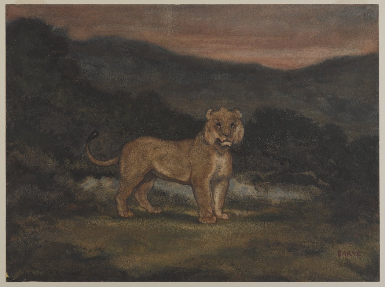 Pysyvä lioness (wc paperilla) tekijältä Antoine Louis Barye