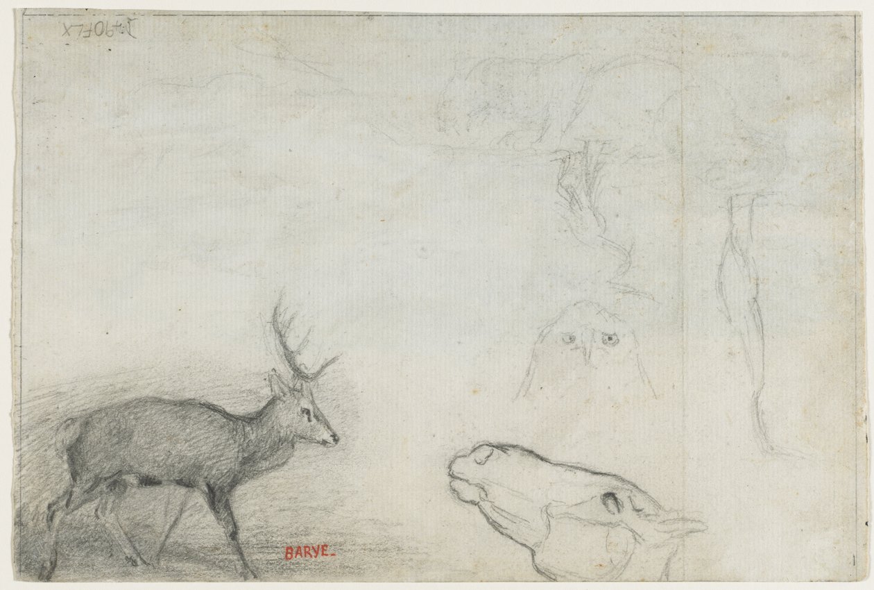 Eläintutkimukset (käänteinen) tekijältä Antoine Louis Barye