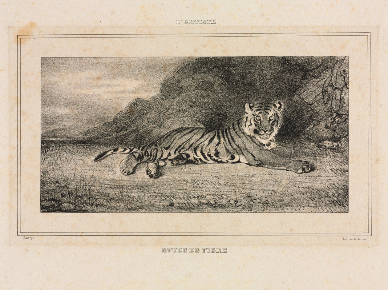 Tiger-tutkimus, 1832. tekijältä Antoine Louis Barye