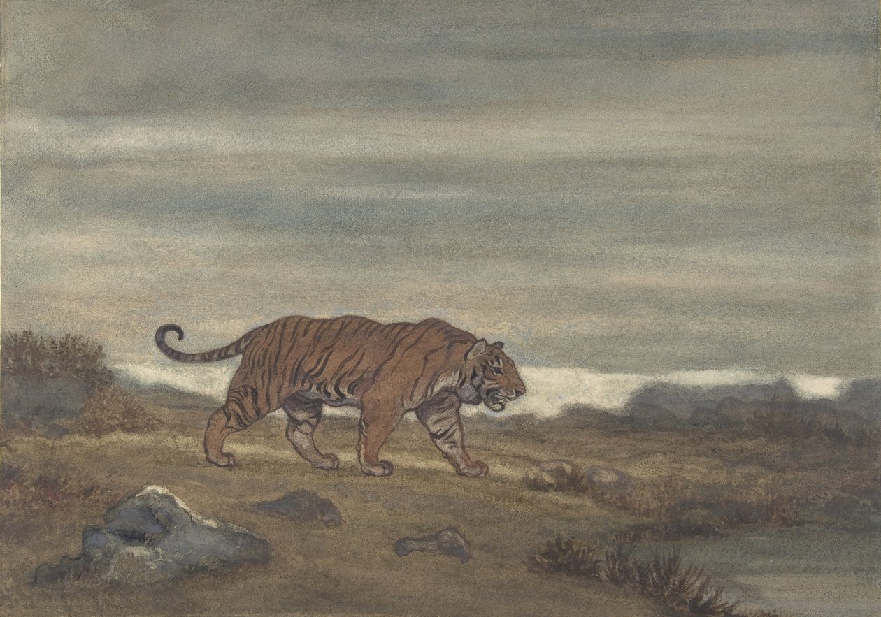 Tiger Approaving Pool, 1810-75. tekijältä Antoine Louis Barye