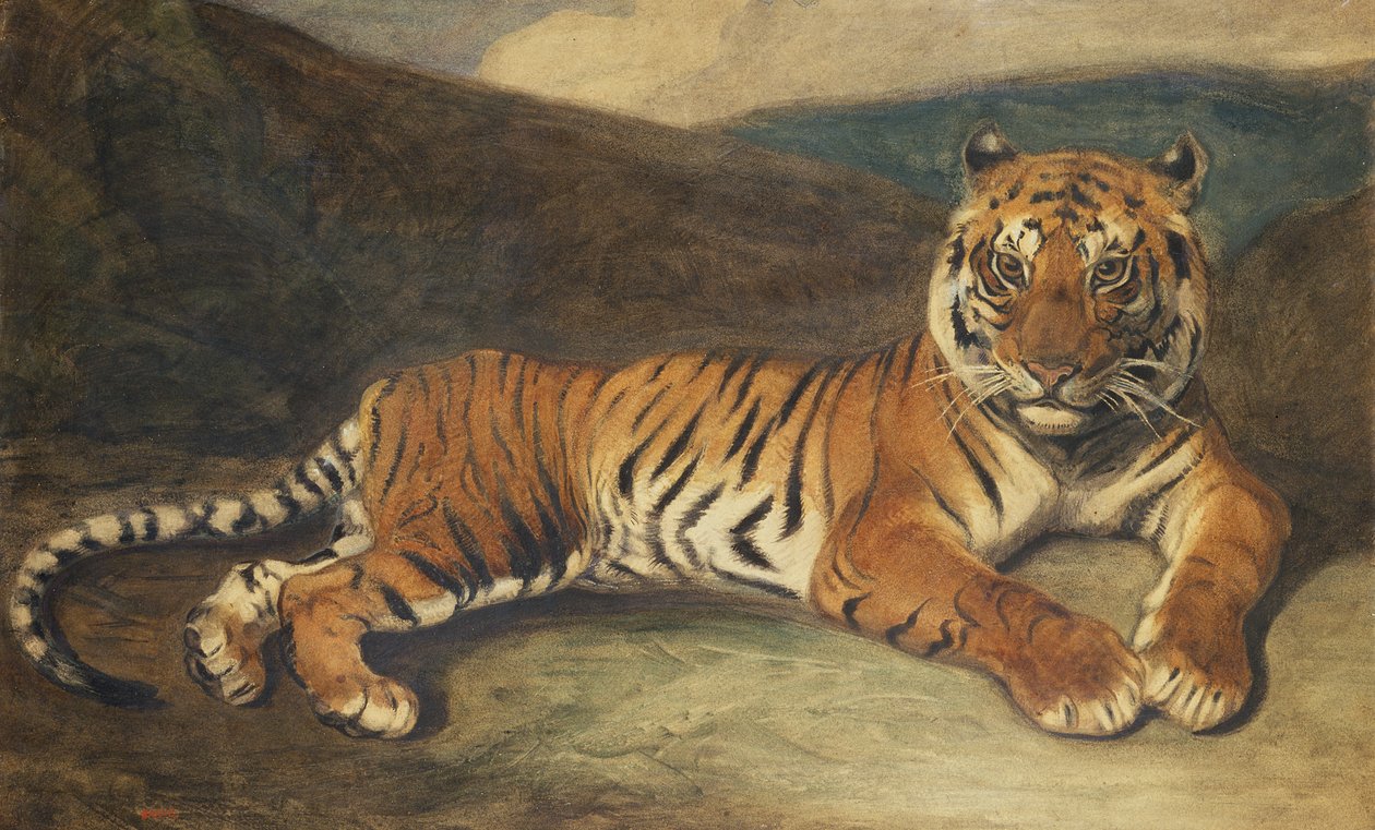 Tiger reclining (wc paperilla) tekijältä Antoine Louis Barye