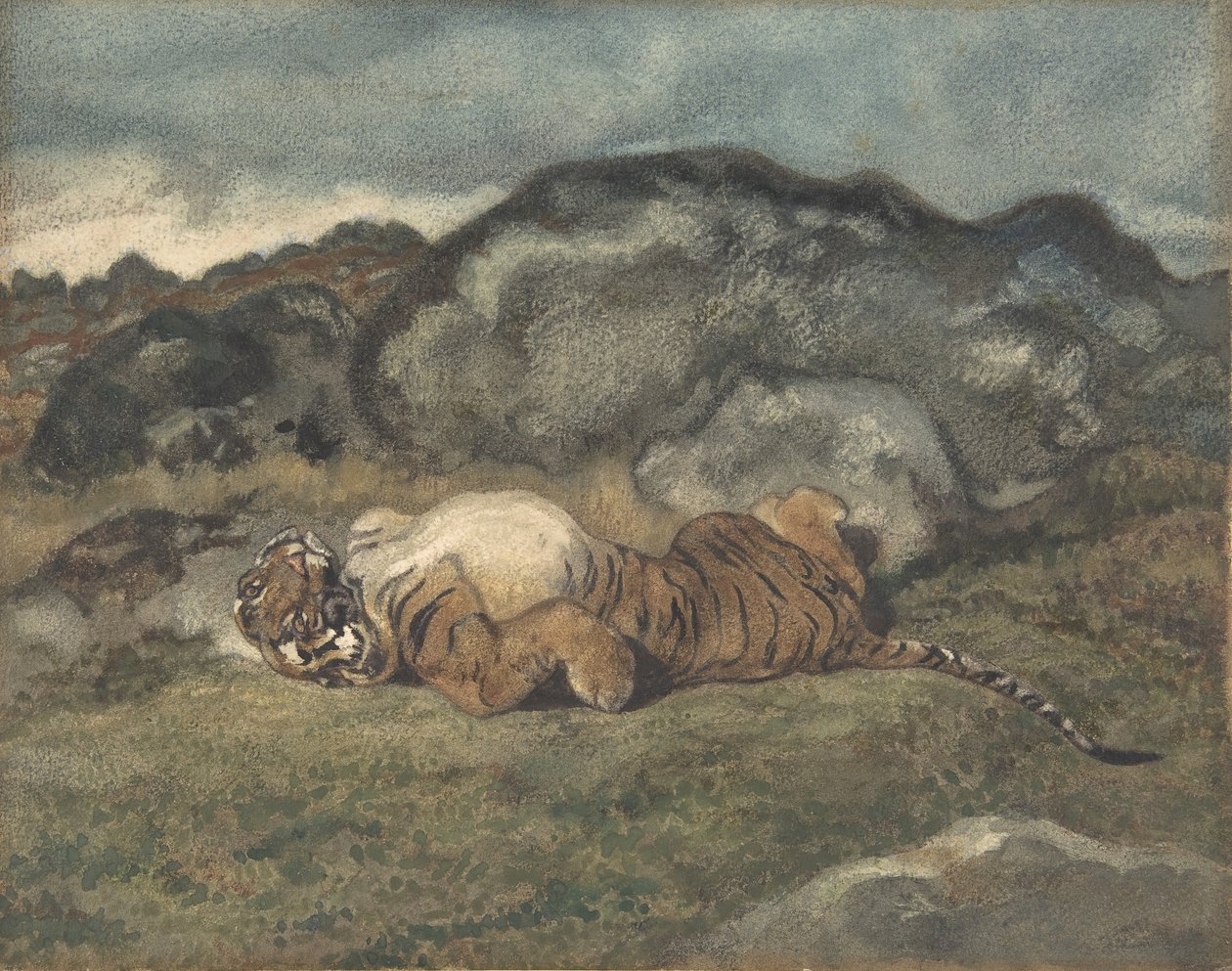Tiikeri pyörii selässään, 1810-75. tekijältä Antoine Louis Barye