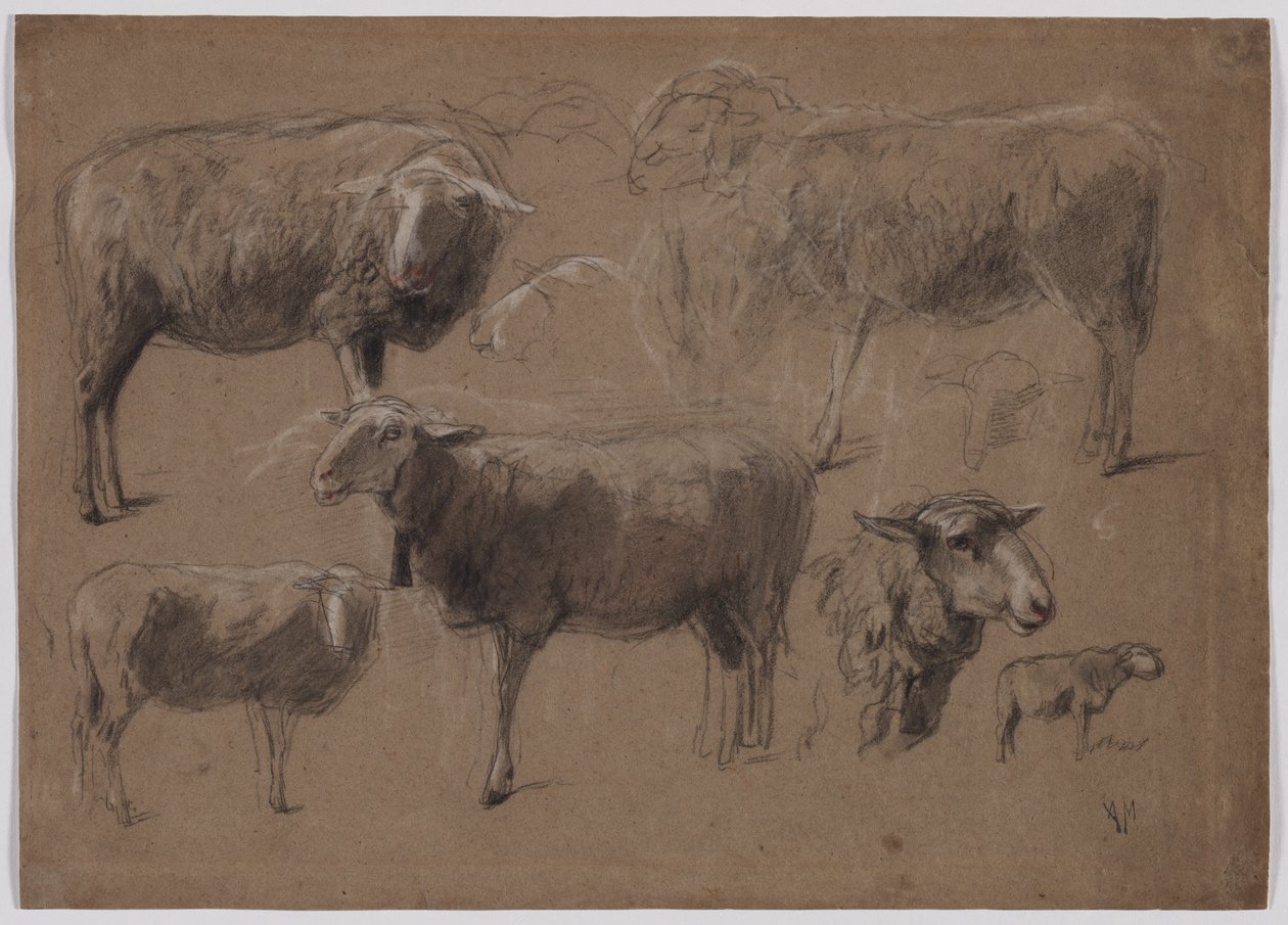 Lammastutkimukset, 1800-luvun toinen puoli. tekijältä Anton Mauve