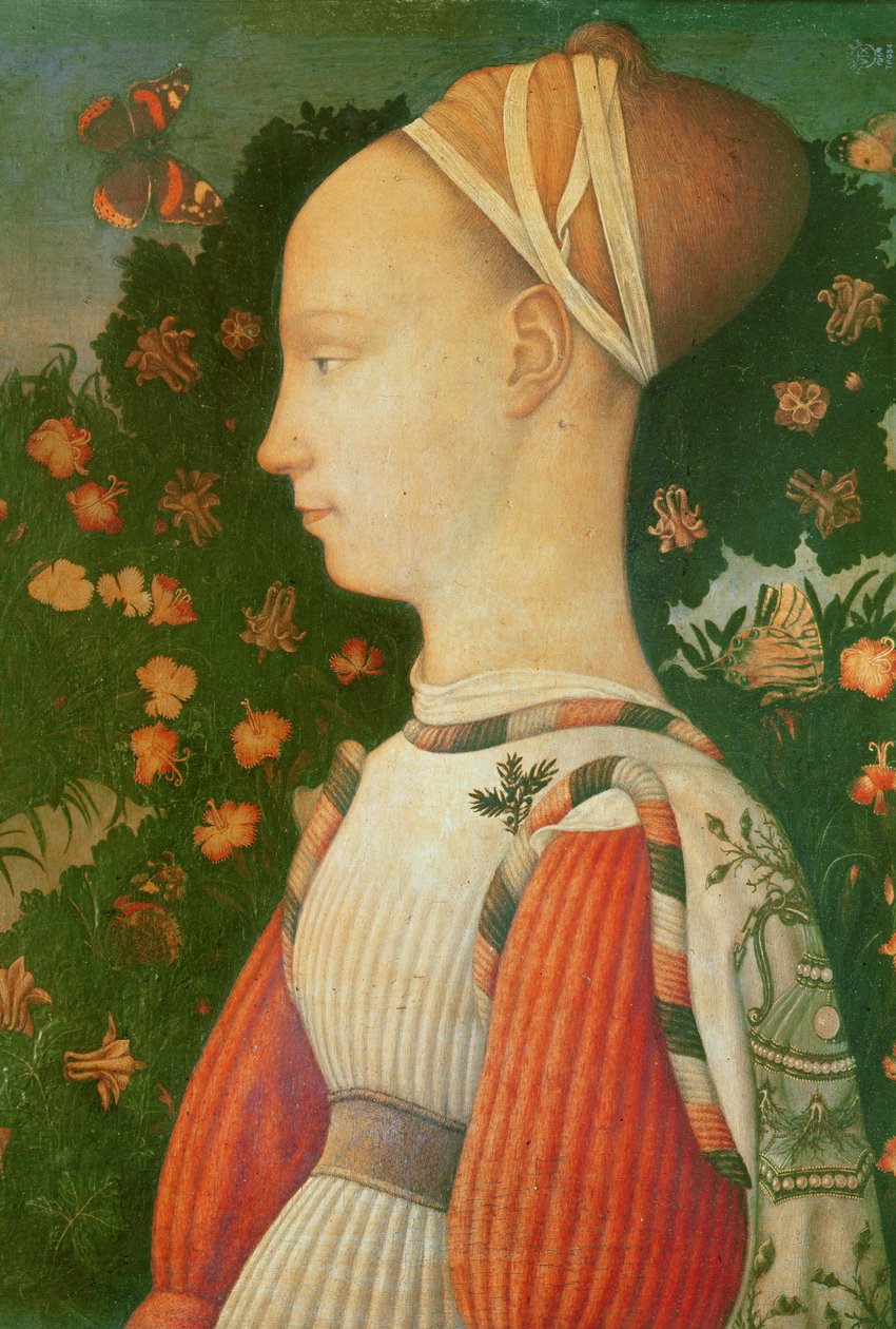 Ginevra d