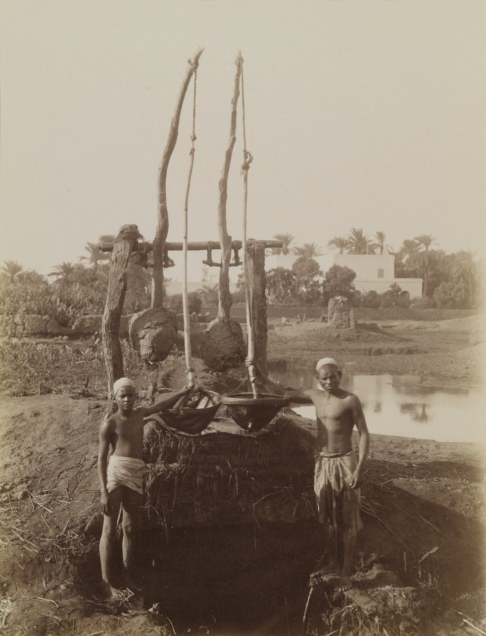 Sehadouf, Luxor tekijältä Antonio Beato
