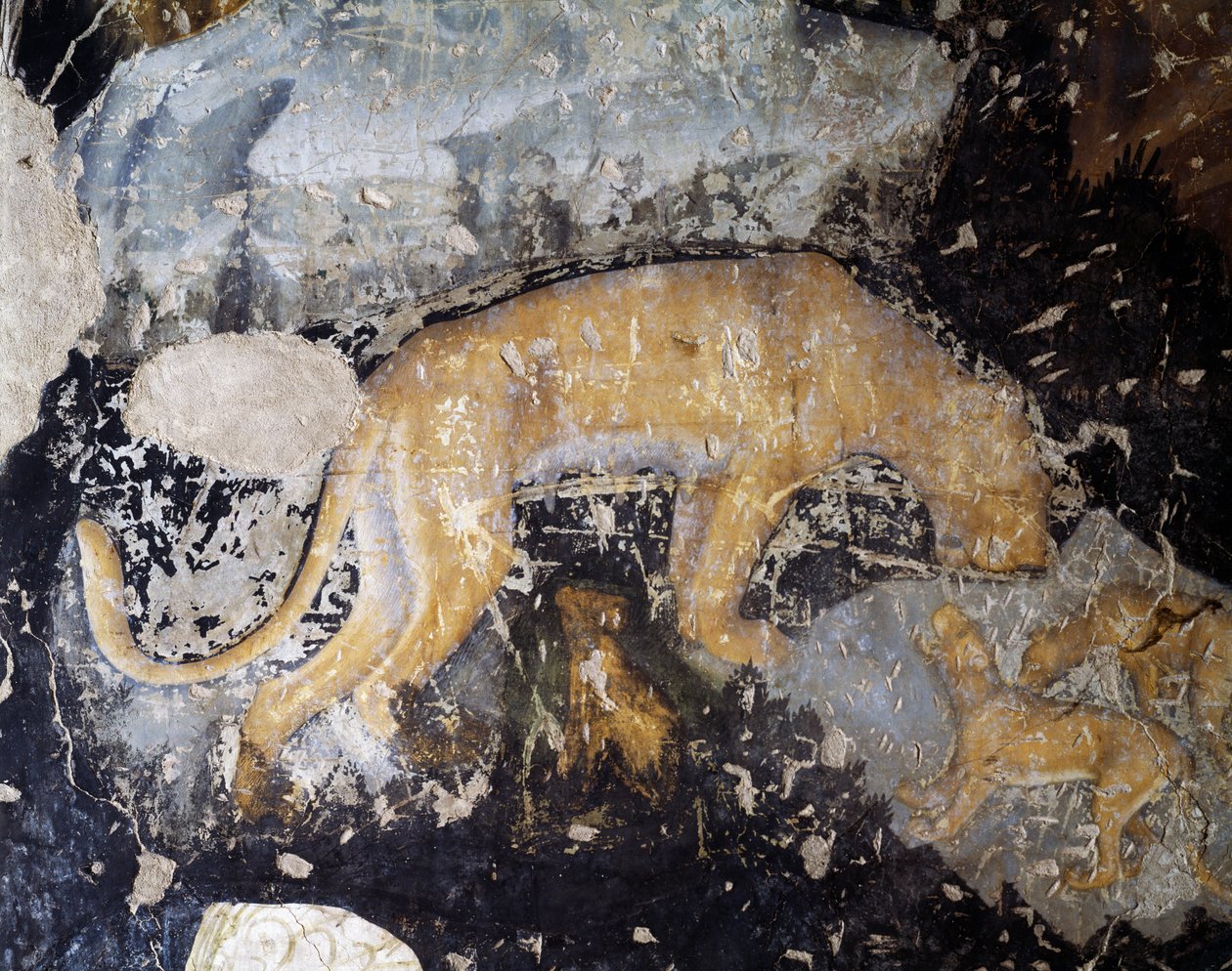 Koira, yksityiskohta (fresco) tekijältä Antonio Pisanello