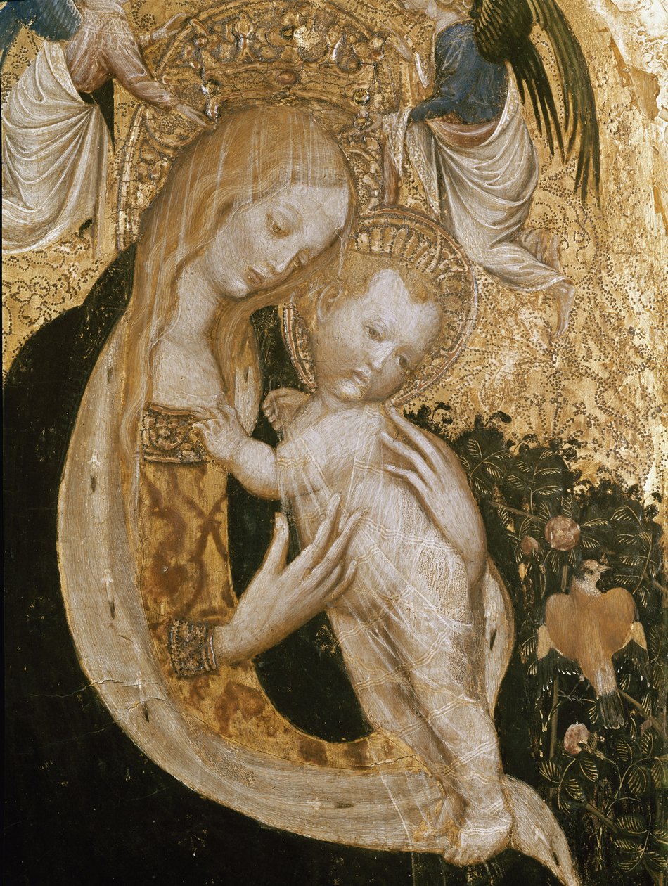 Neitsyt viiriäisen kanssa (Detrempe puulla, n. 1420) tekijältä Antonio Pisanello