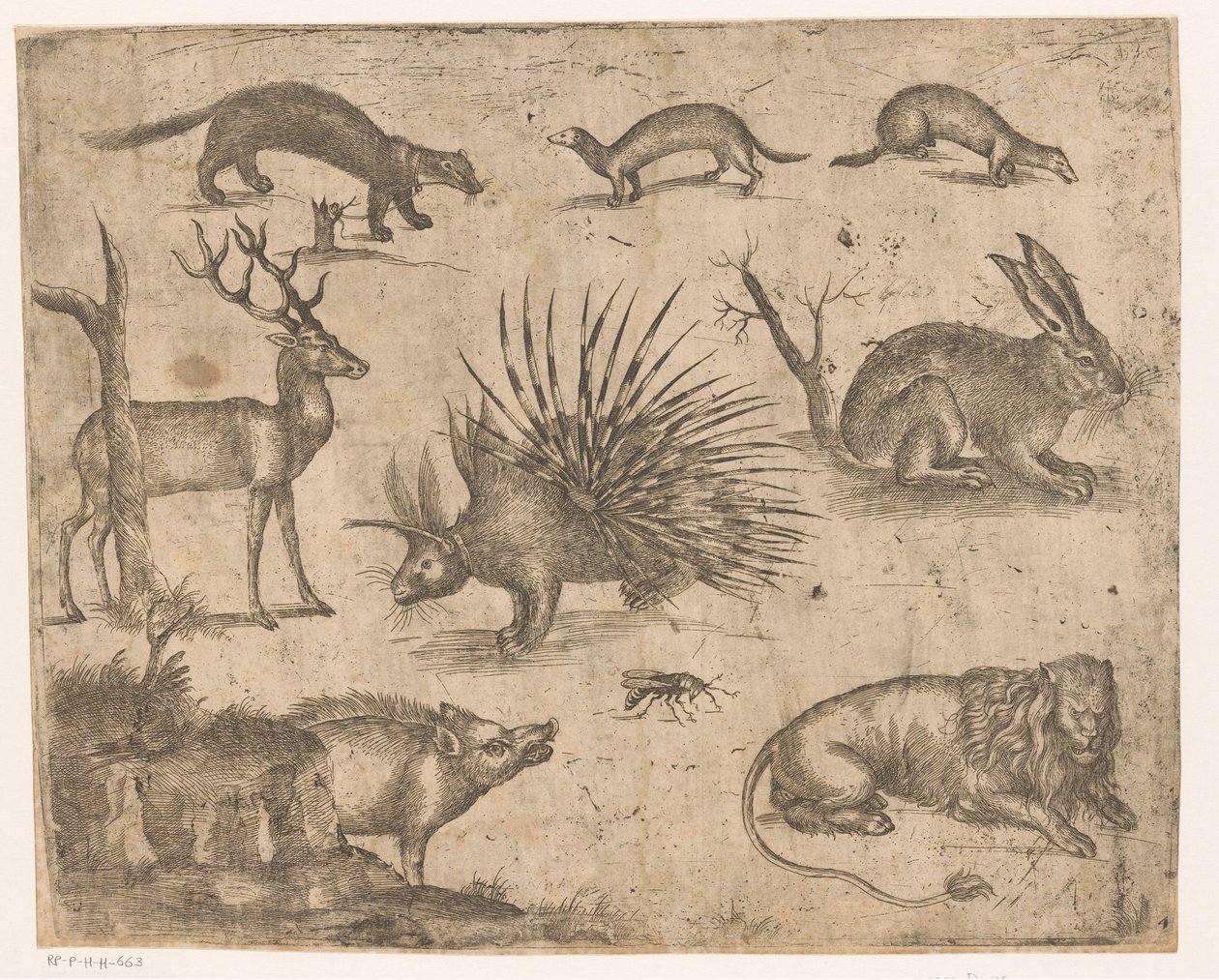 Opintolehti erilaisilla eläimillä tekijältä Antonio Tempesta (attributed to)