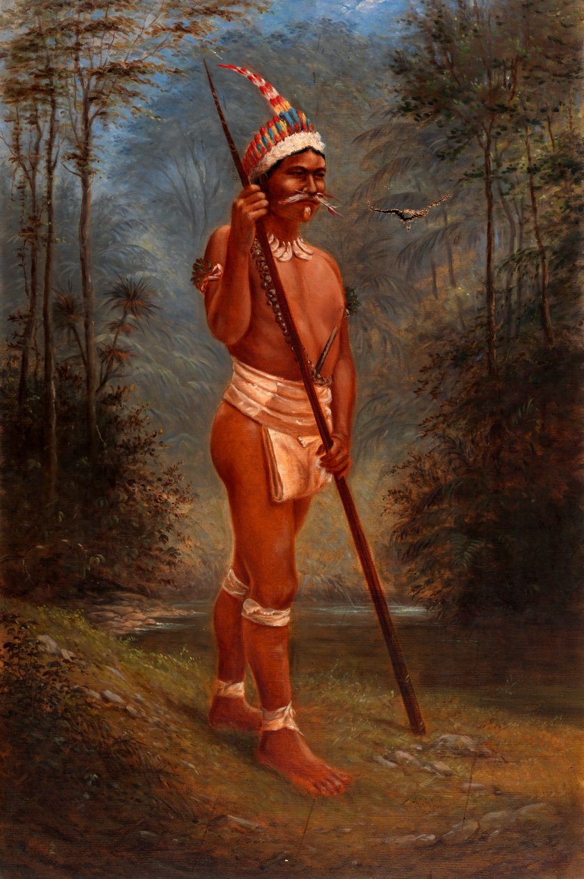 Zaparo Stock, n. 1893. tekijältä Antonio Zeno Shindler