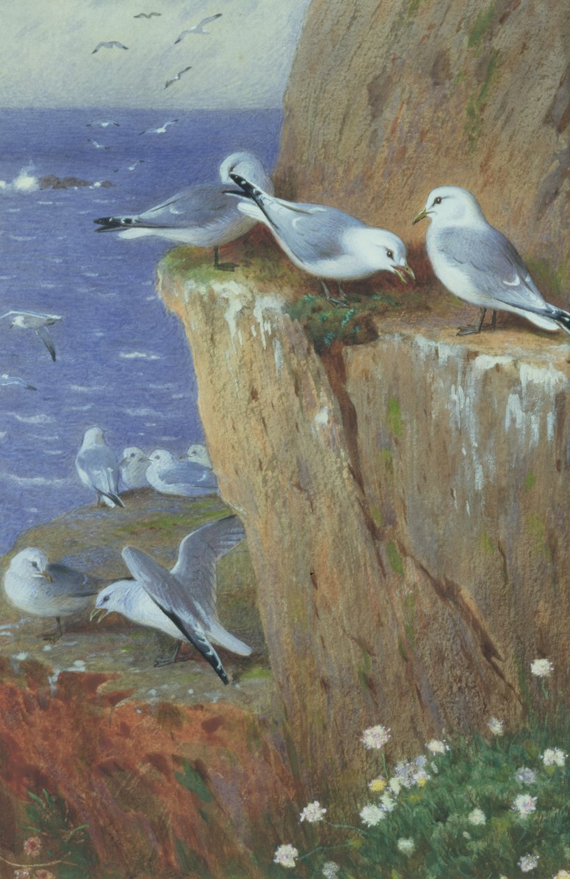 Lokit tekijältä Archibald Thorburn