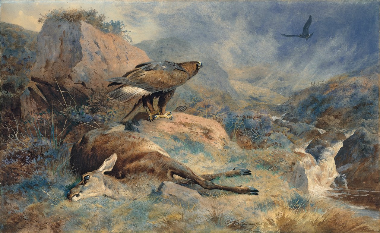 Kadonnut Hind tekijältä Archibald Thorburn