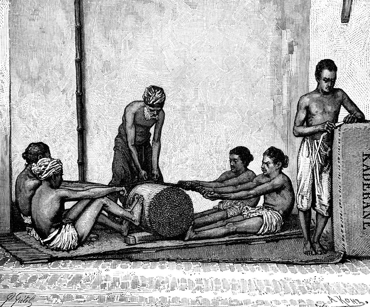 Kanelipakkaus, Intia, 1895. tekijältä Armand Kohl