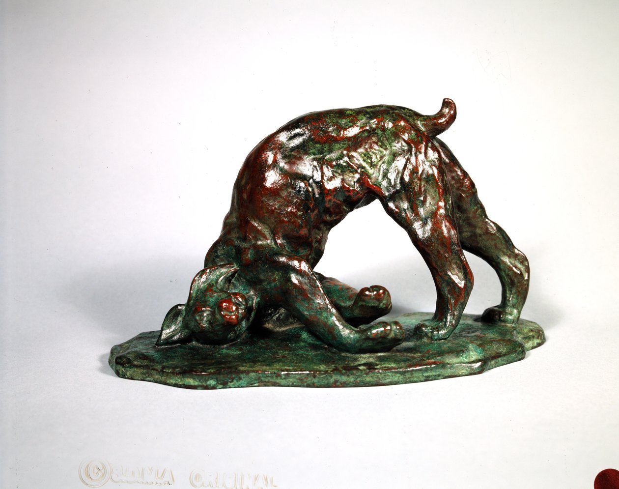 Skunked Lynx, 1909 (pronssi) tekijältä Arthur Putnam
