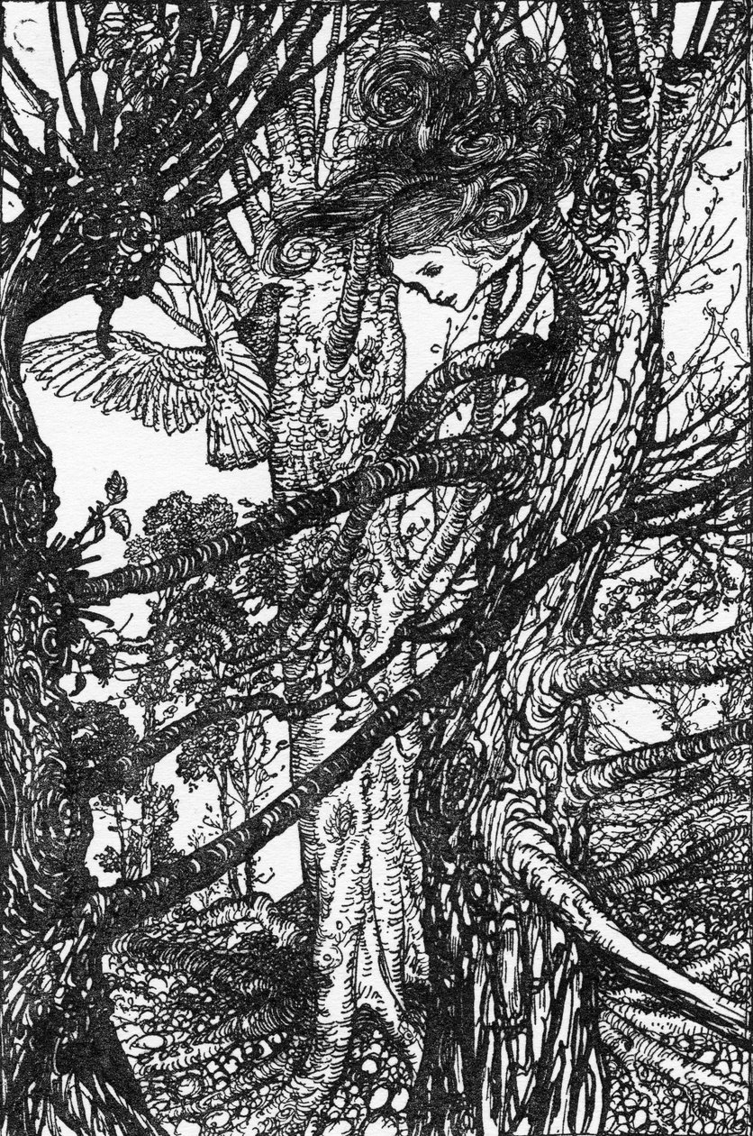Lewis Carrollin Liisa seikkailut ihmemaassa tekijältä Arthur Rackham