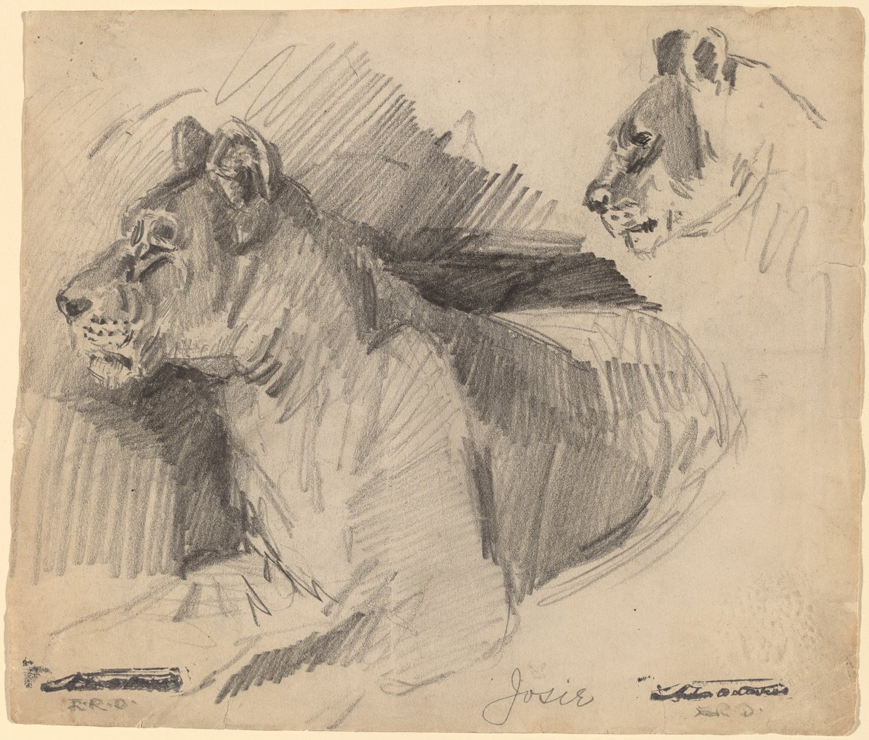 Josie tekijältä Arthur B. Davies