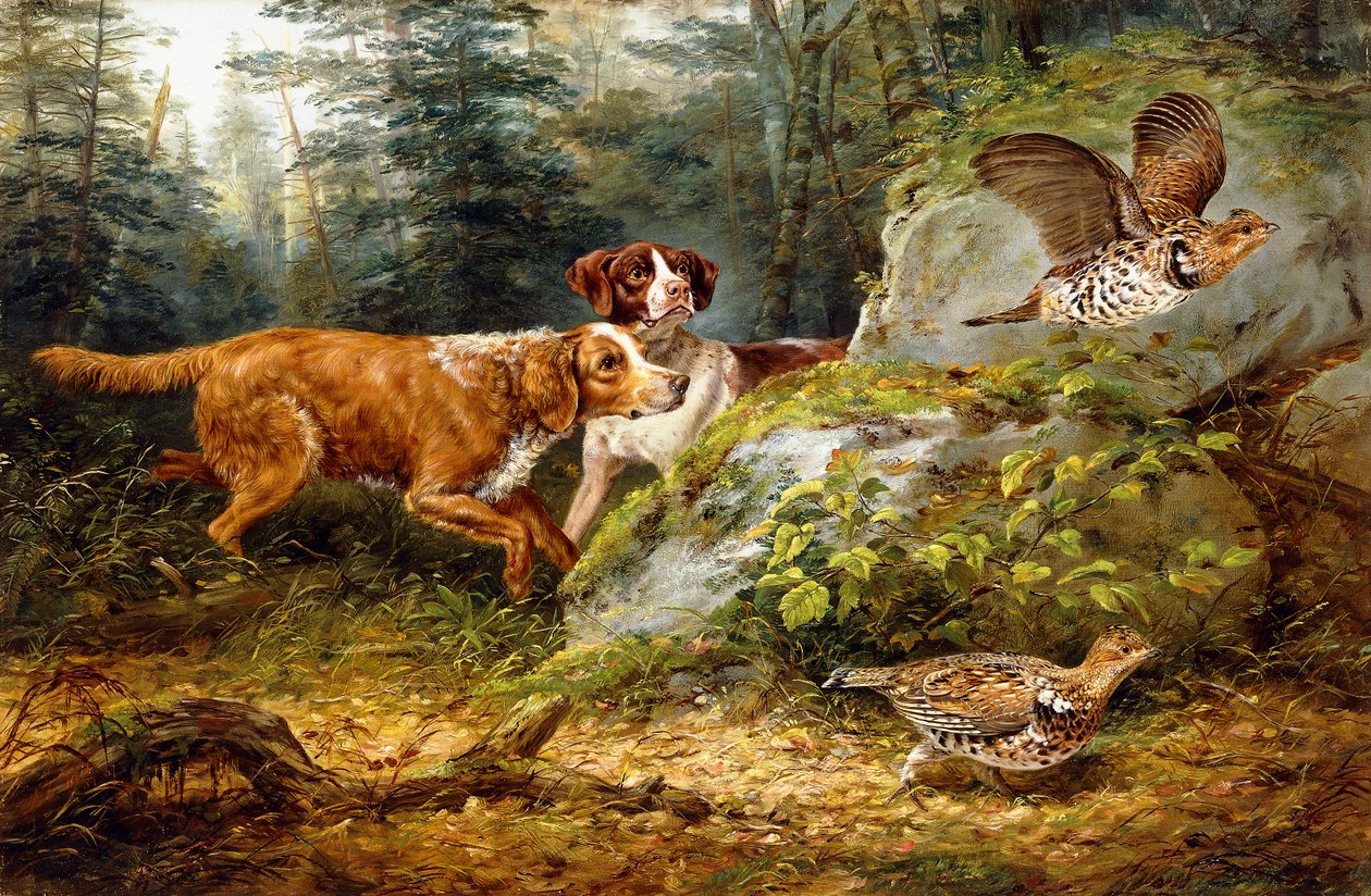 Punainen: Ruffed Grouse Shooting, 1857 tekijältä Arthur Fitzwilliam Tait