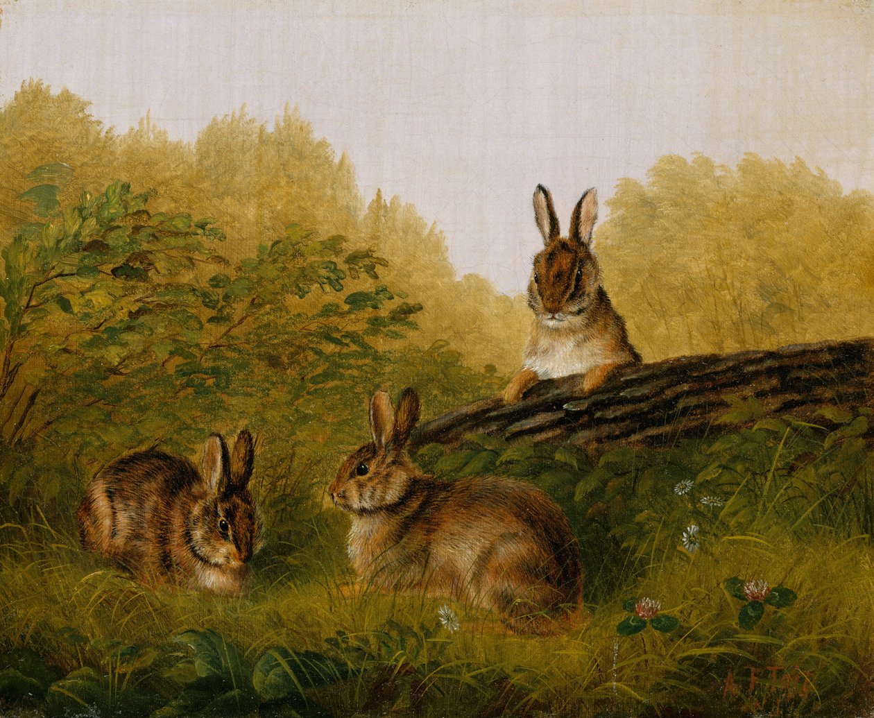 Kanit puun päällä, 1897. tekijältä Arthur Fitzwilliam Tait