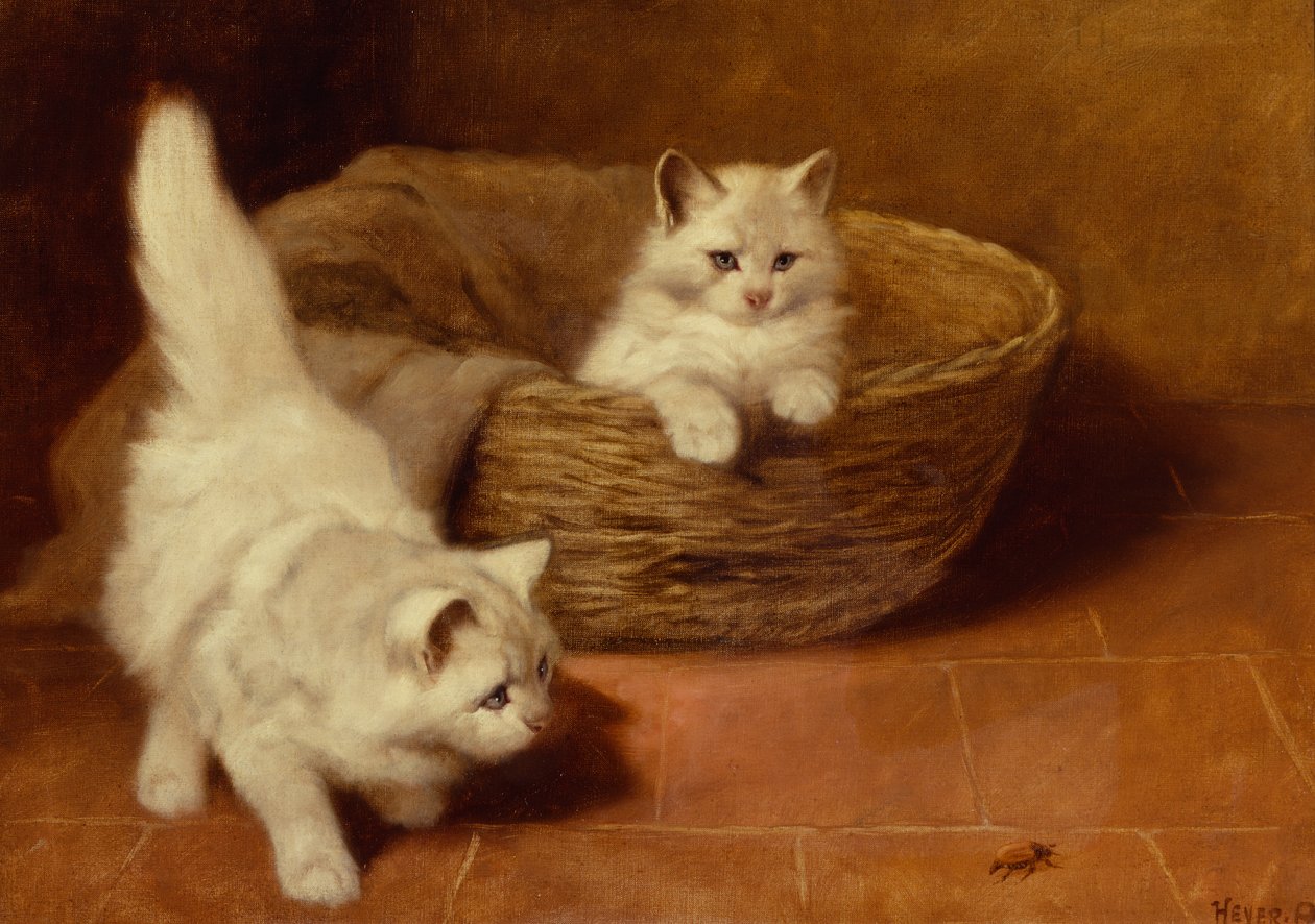 The Intruder (öljy kankaalle) tekijältä Arthur Heyer