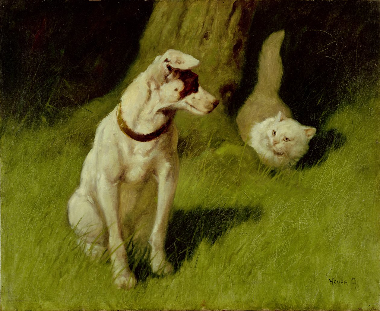 Valkoinen persiankissa ja Jack Russell tekijältä Arthur Heyer