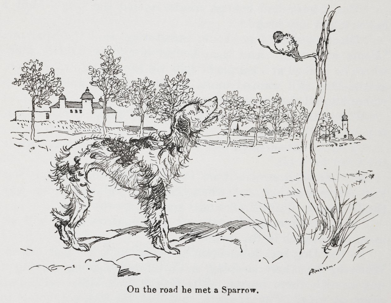 Koira ja varpunen. tekijältä Arthur Rackham