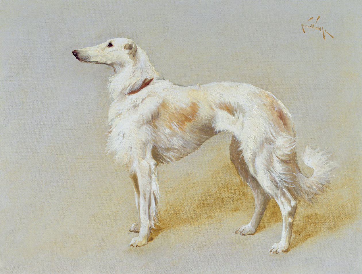 Borzoi-koira (öljy kankaalle) tekijältä Arthur Wardle