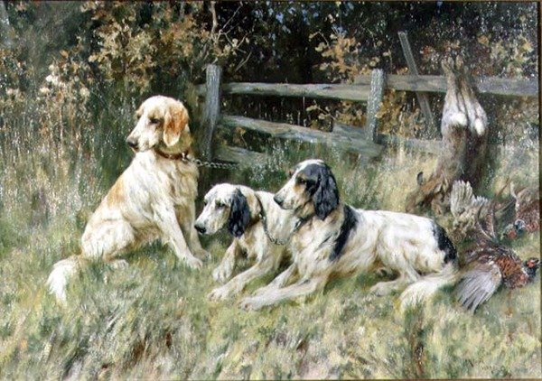 Päivän laukussa tekijältä Arthur Wardle
