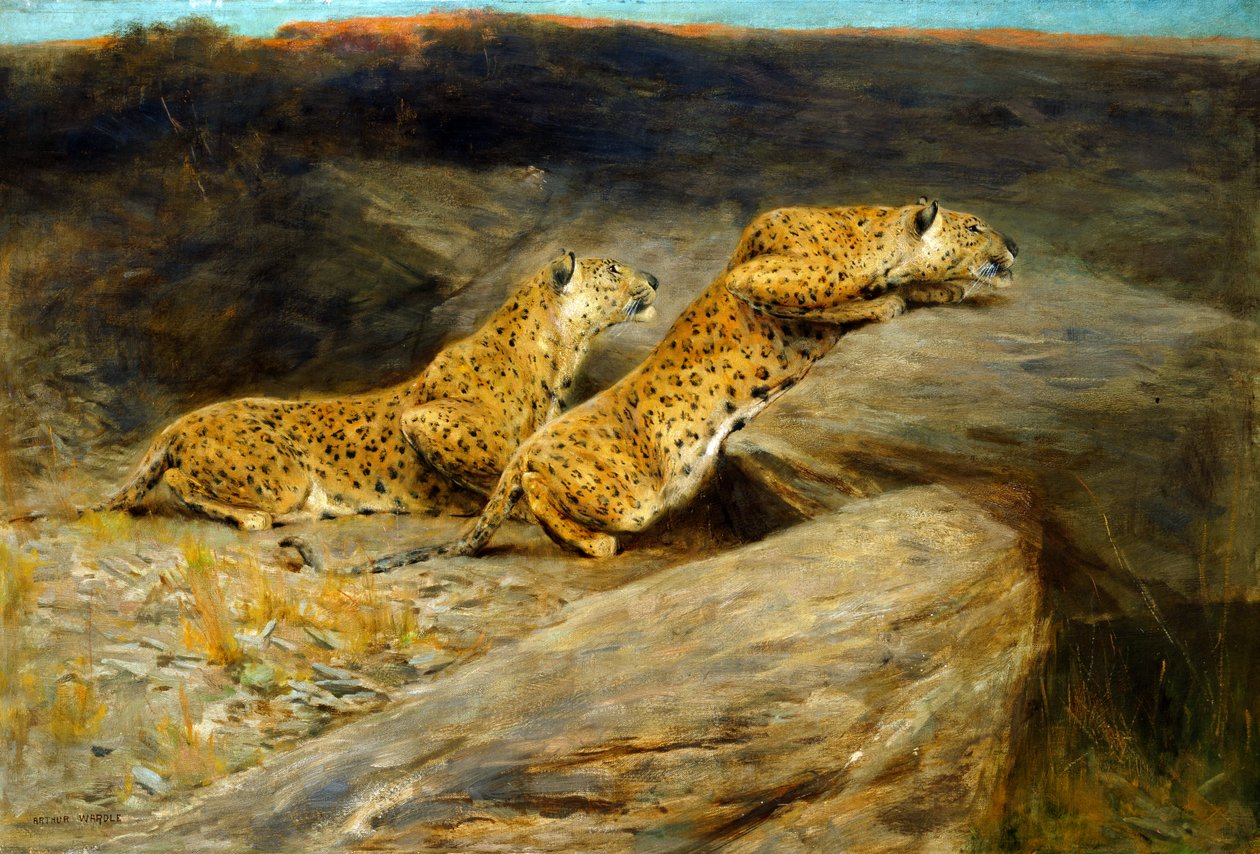 Deer Stalkers (öljy kankaalle) tekijältä Arthur Wardle