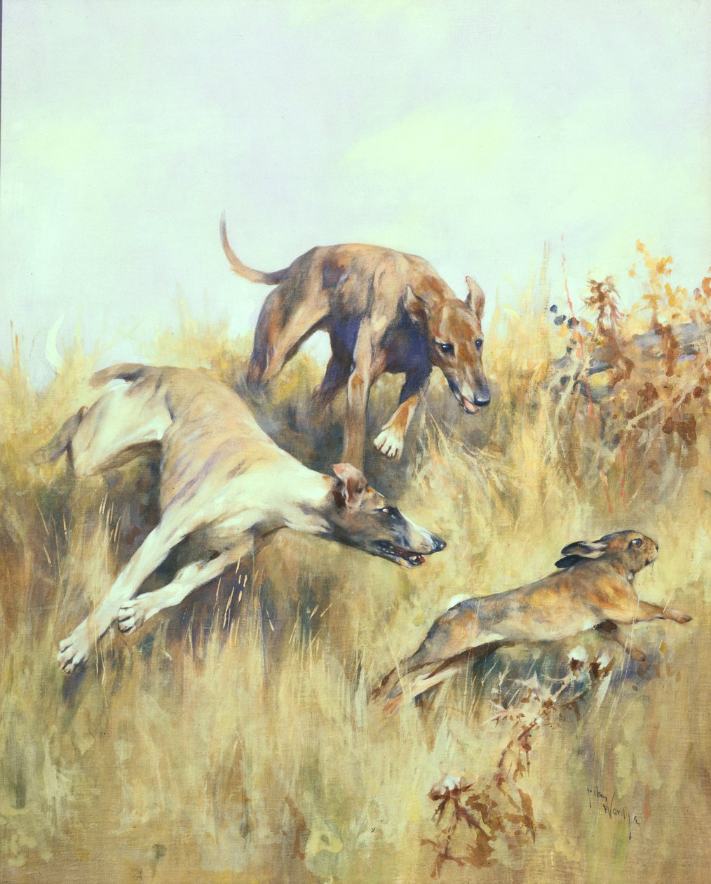 Greyhounds Giving Chase (guassi paperilla) tekijältä Arthur Wardle