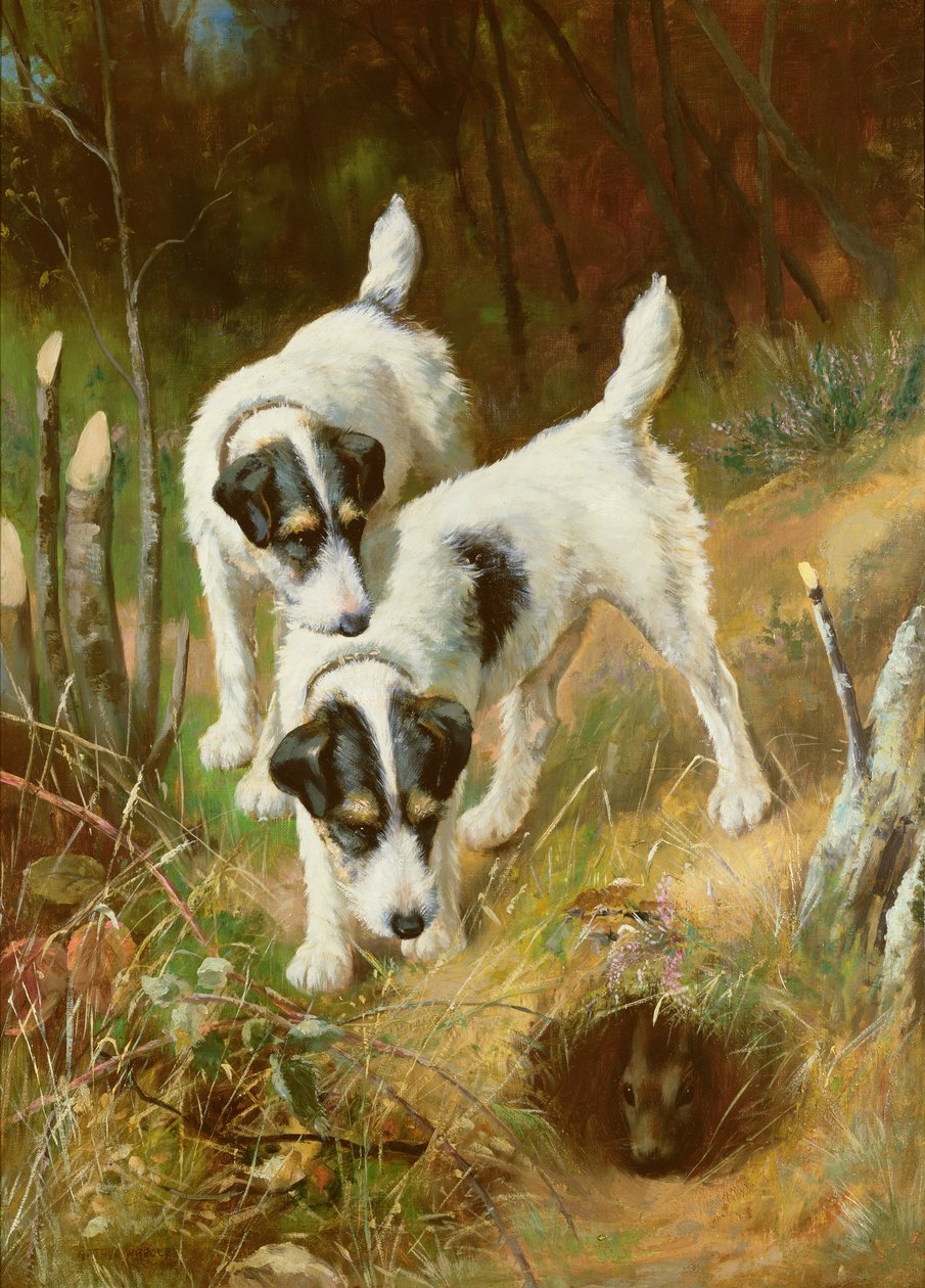 Terrierit Kanit tekijältä Arthur Wardle