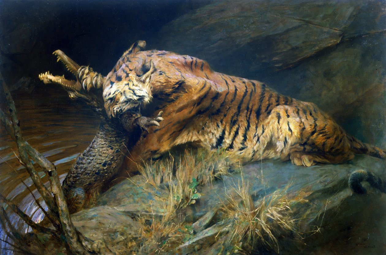 Tiikeri ja krokotiili (öljy kankaalle) tekijältä Arthur Wardle