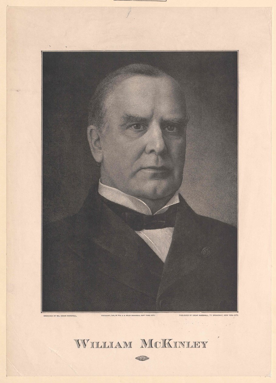 William MacKinley tekijältä Artist Unknown