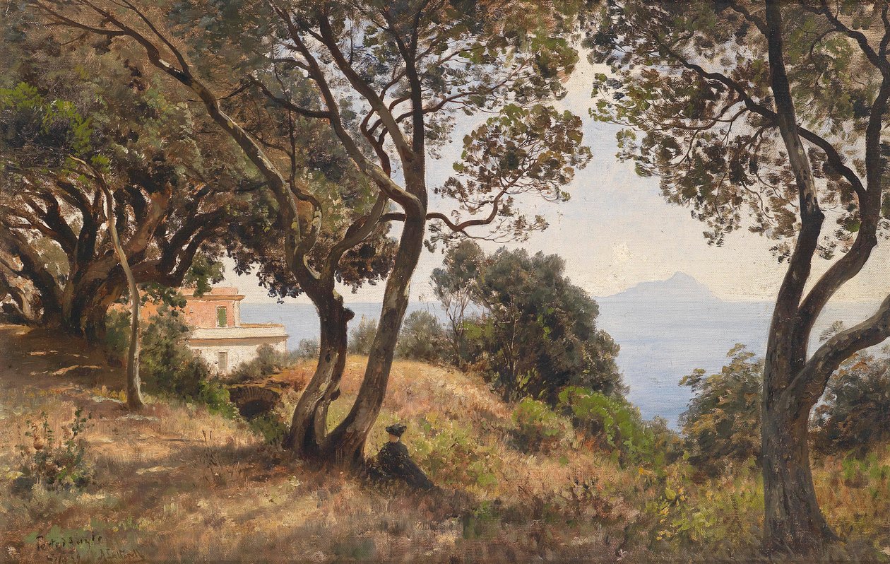 Ascan Lutteroth etelänäkymä 1889 tekijältä Ascan Lutteroth