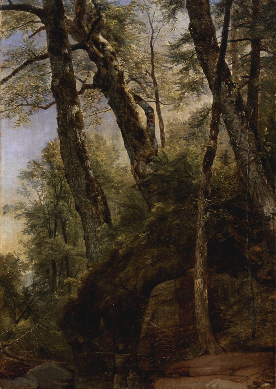 Mustat koivut, Catskill-vuoret, 1860 tekijältä Asher Brown Durand