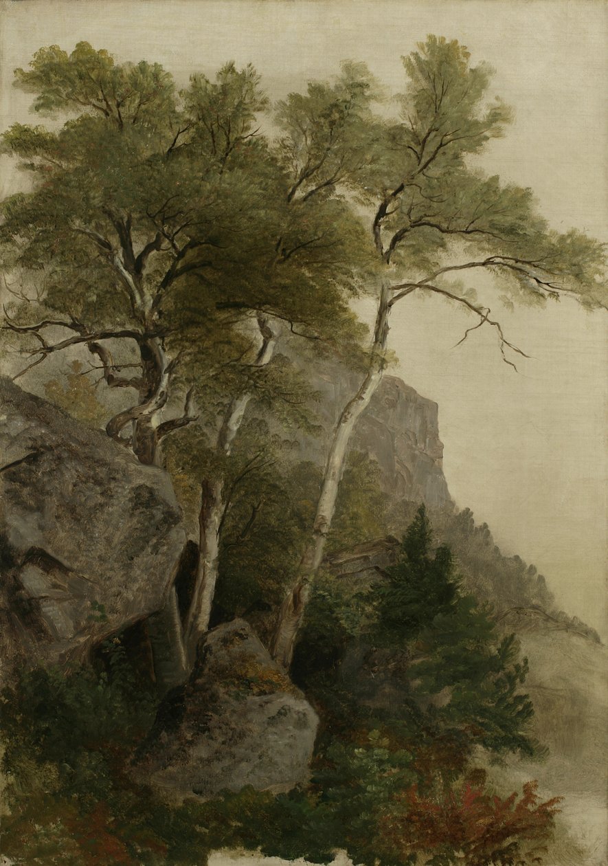 Maisema, 1855 tekijältä Asher Brown Durand