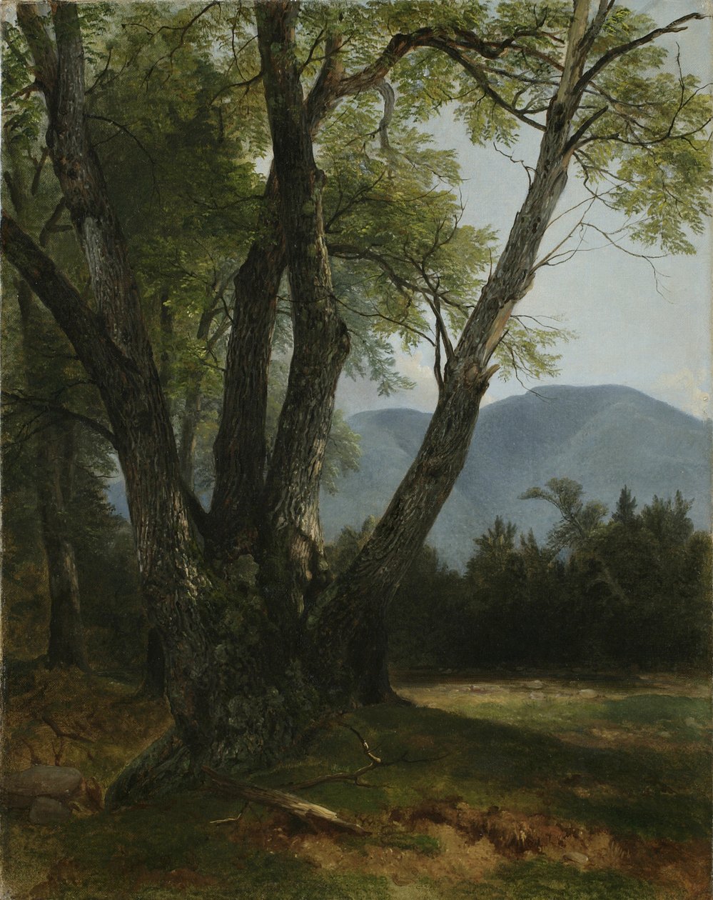 Shandaken, Ulsterin piirikunta, New York, 1854 tekijältä Asher Brown Durand